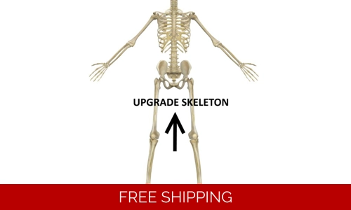 Upgrade Skeleton